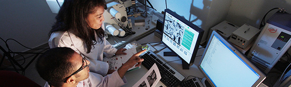 專業(yè)的技術(shù)團(tuán)隊 快速開發(fā)產(chǎn)品 